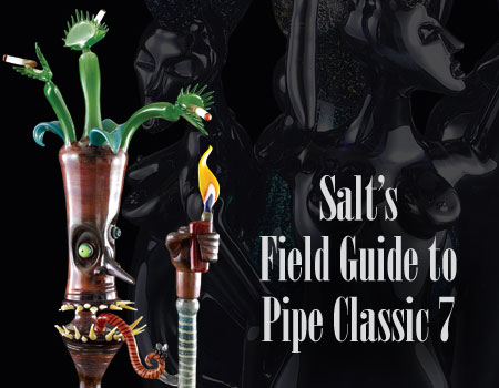 450x350saltsfieldguide