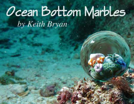 450x350OceanBottom